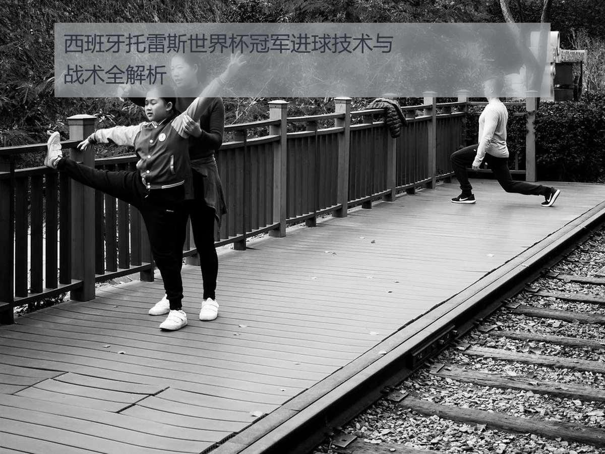 西班牙托雷斯世界杯冠军进球技术与战术全解析